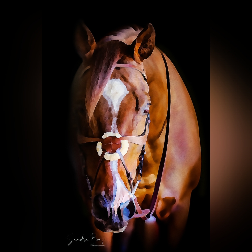 Equestrian Fine Art Watercolor Print "Blissful" bySandra Boos Photography 8x12